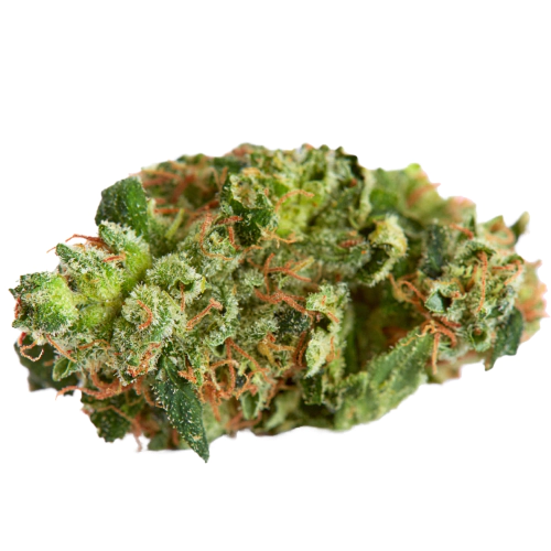 Blue God Cannabis Strain
