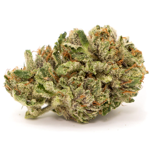 Buy Headband Marijuana Strain