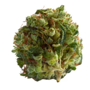 Lemon Kush Marijuana Strain