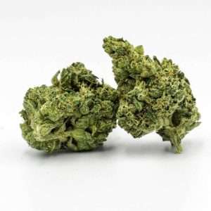 Lemon Tree Weed Strain