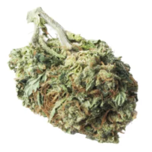 Tangie Cannabis Strain